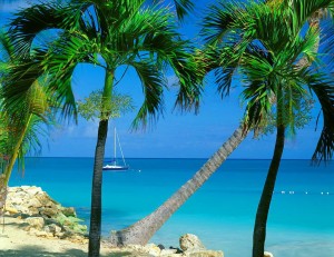 Antigua (7)